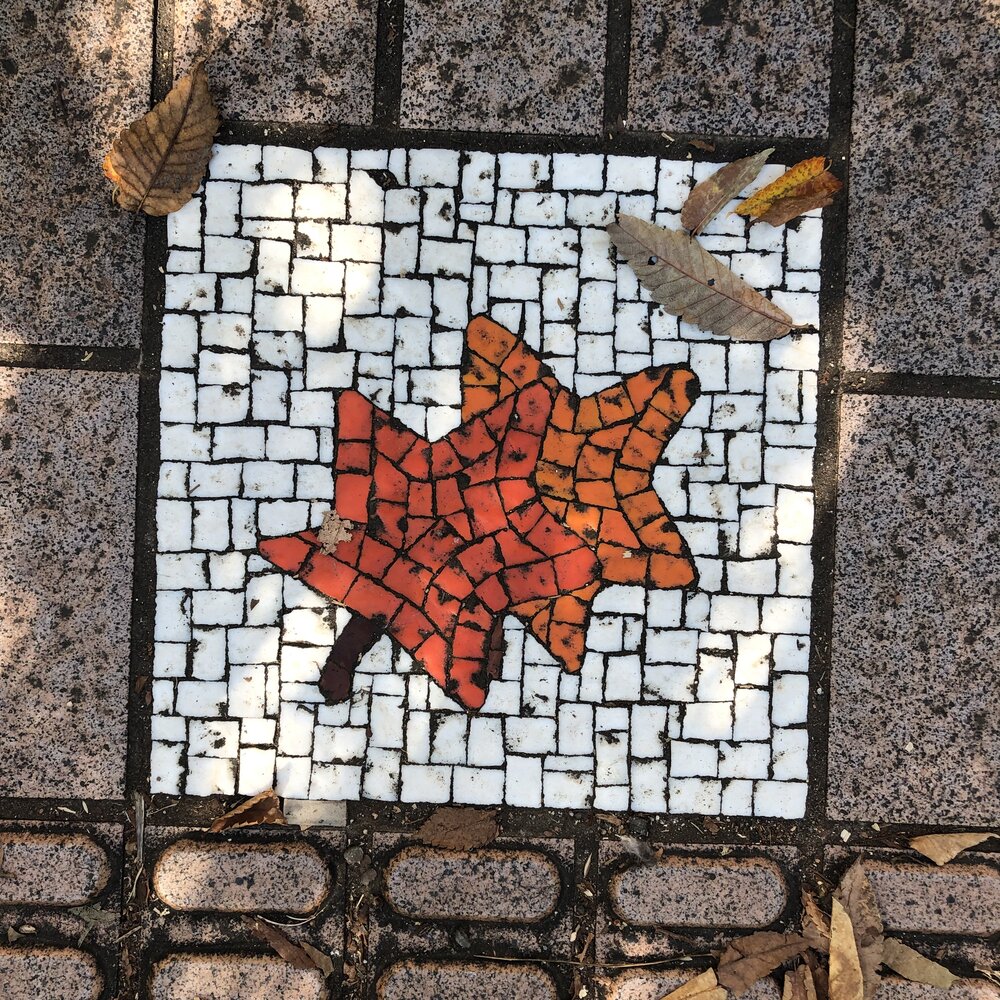 mosaicleaf.jpg