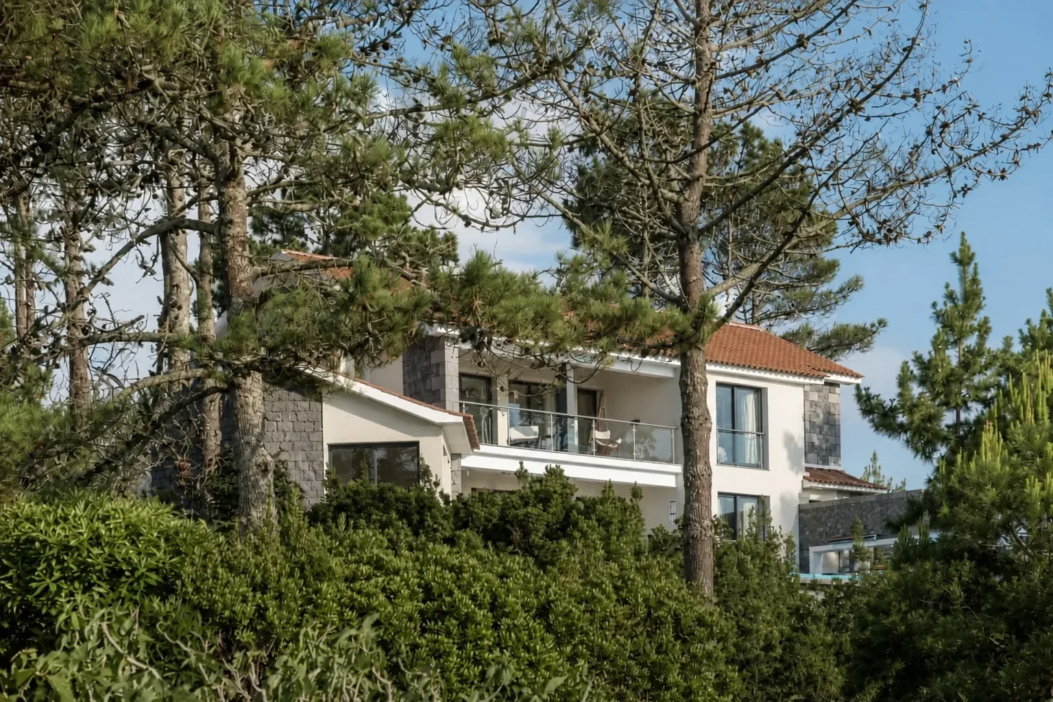 Rural accommodation surrounded by pine trees and gardens on Pico Island