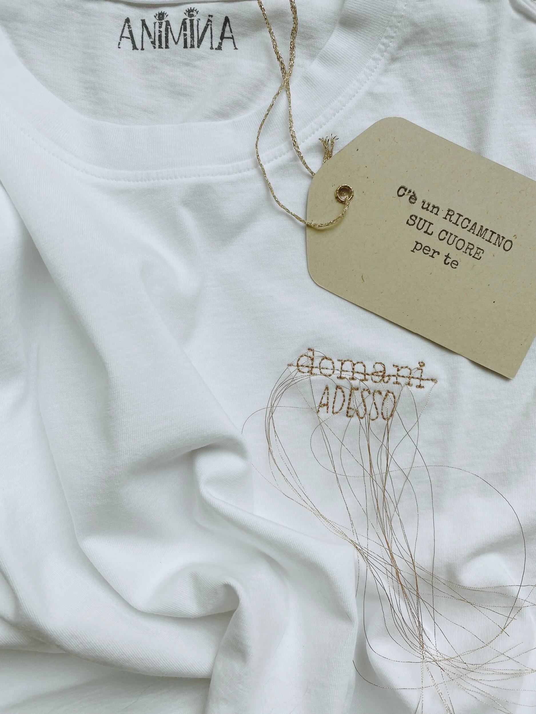 D4216C00-7441-4BB4-922F-8F55F5FEA703