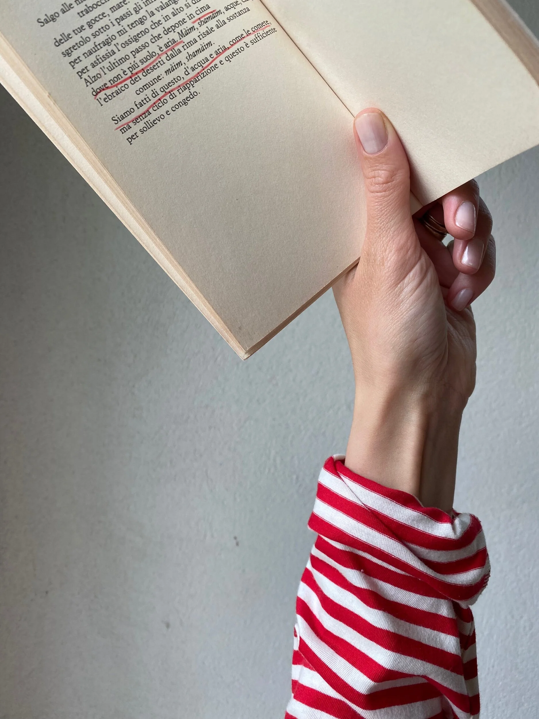 638028D9-3DF1-44BE-A464-EE100DB34C74