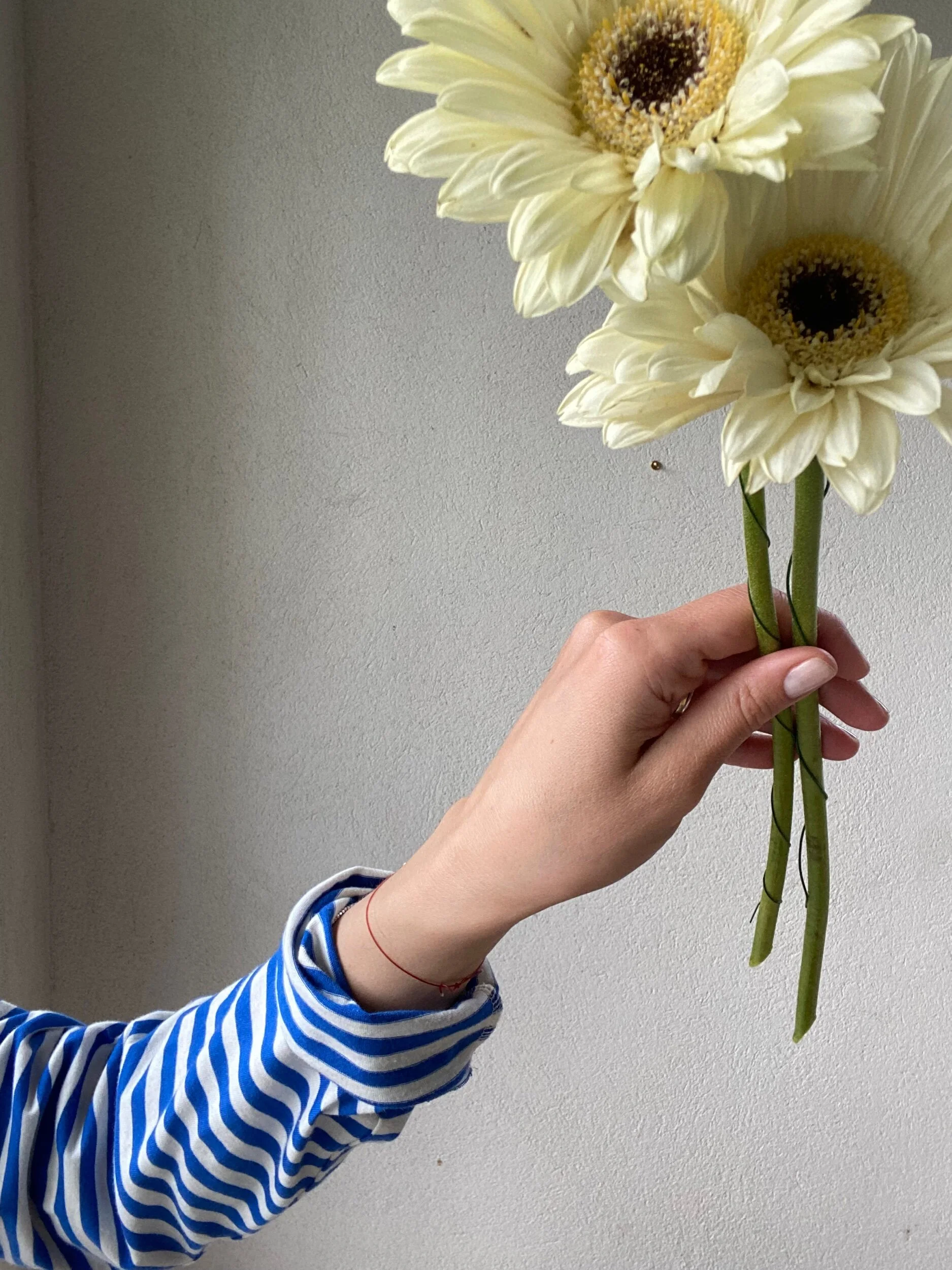 F36C1720-BC47-44FB-9EA6-8FF991D6A8E7