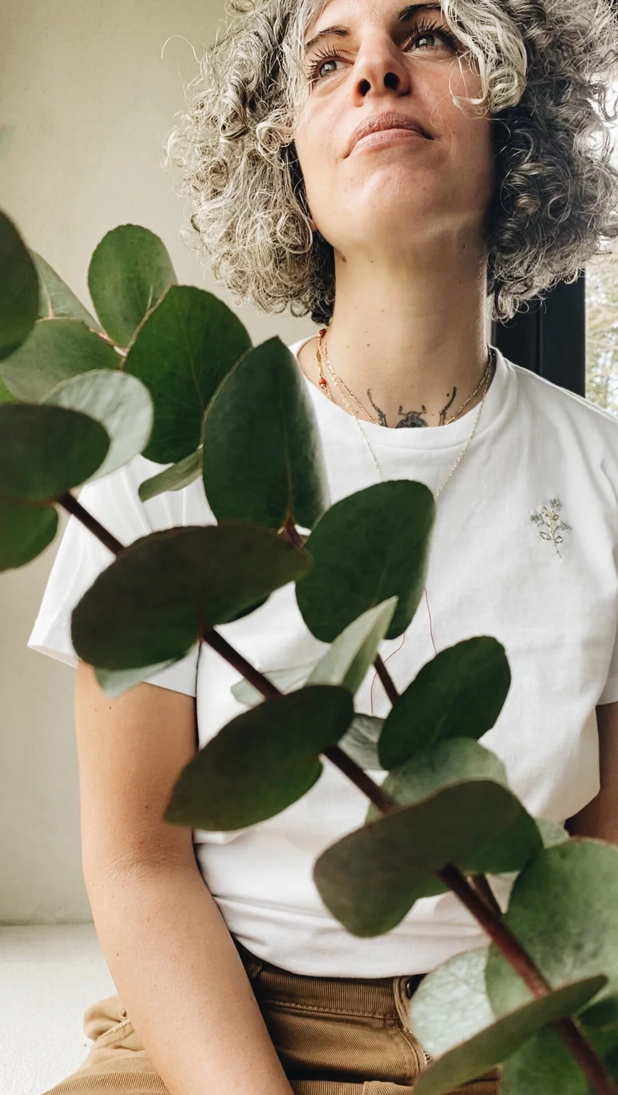 DC3402EB-C932-41B3-B402-87687088088B