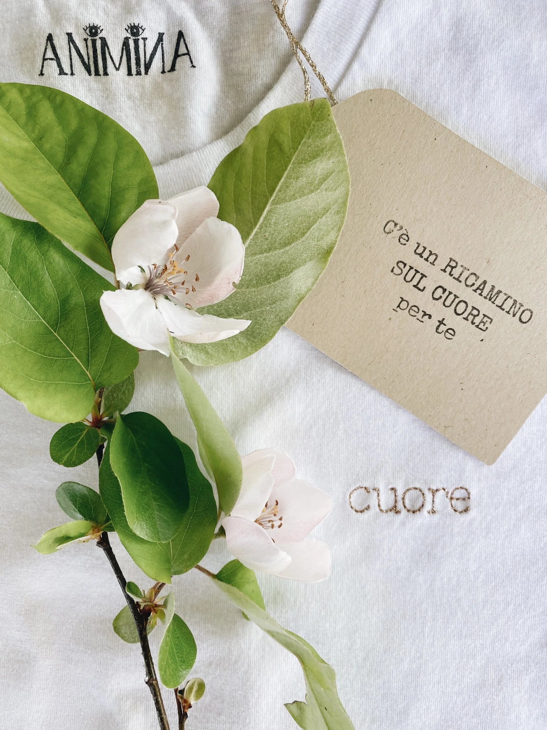 DA027675-6DB1-4A41-9490-438F71EDDA7E