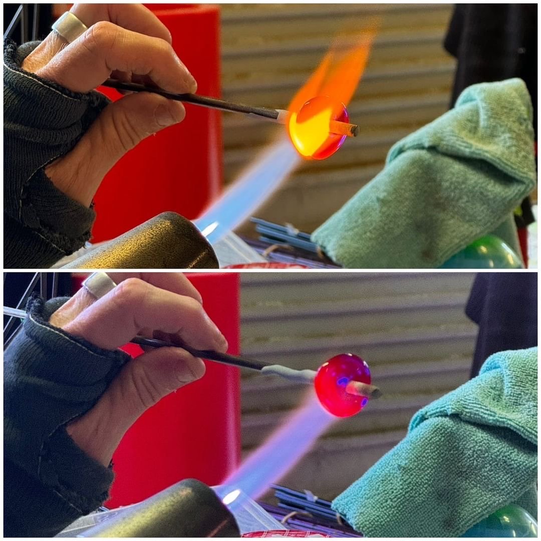 with and without didymium.jpg