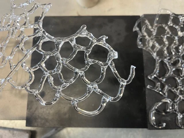 1 a network .jpg (Copy)