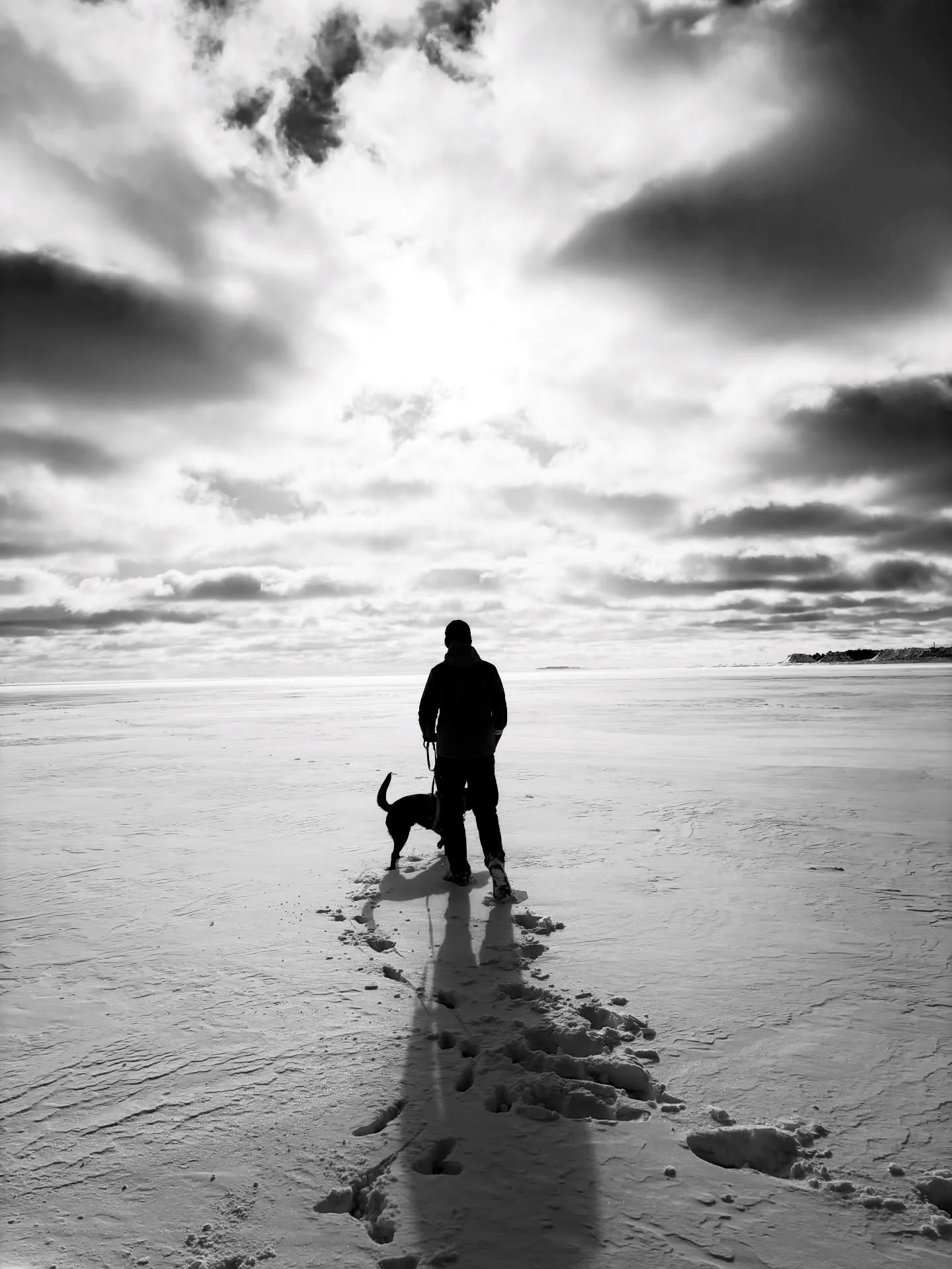 ❄️🐾🇬🇧🇫🇮