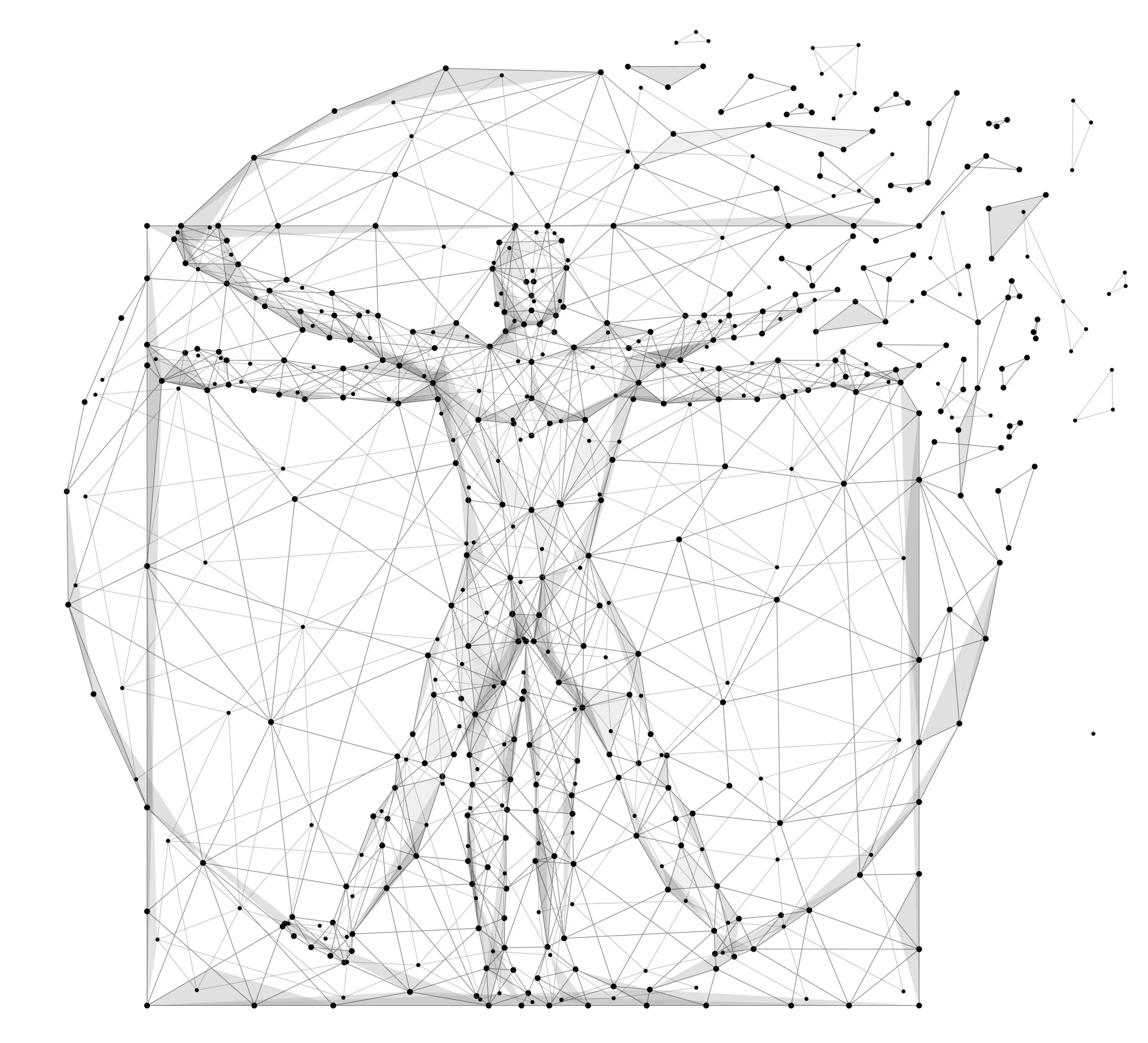 Full Body Joint-Muscle Analysis