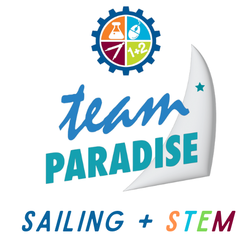 SYSTEM LOGO FOR SHIRTS.png