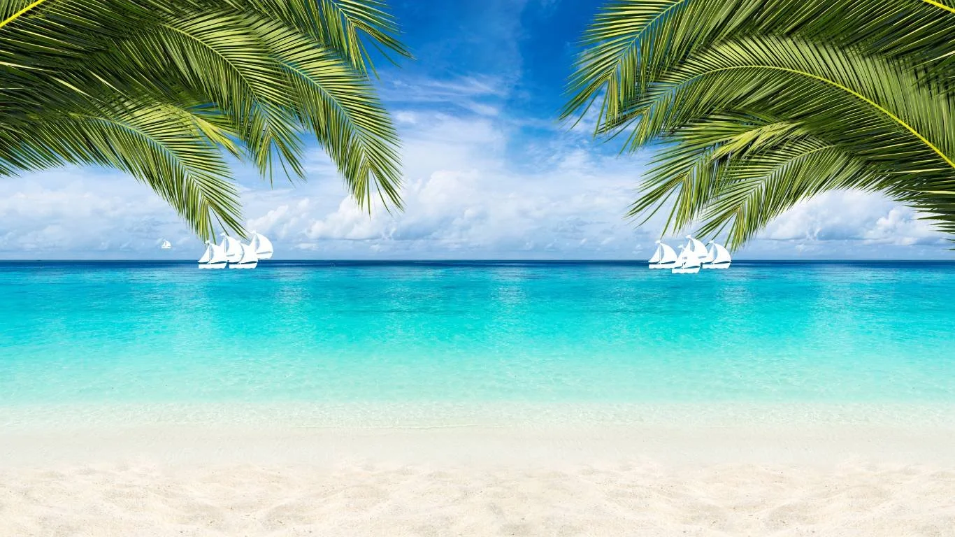 PARADISE (1).jpg