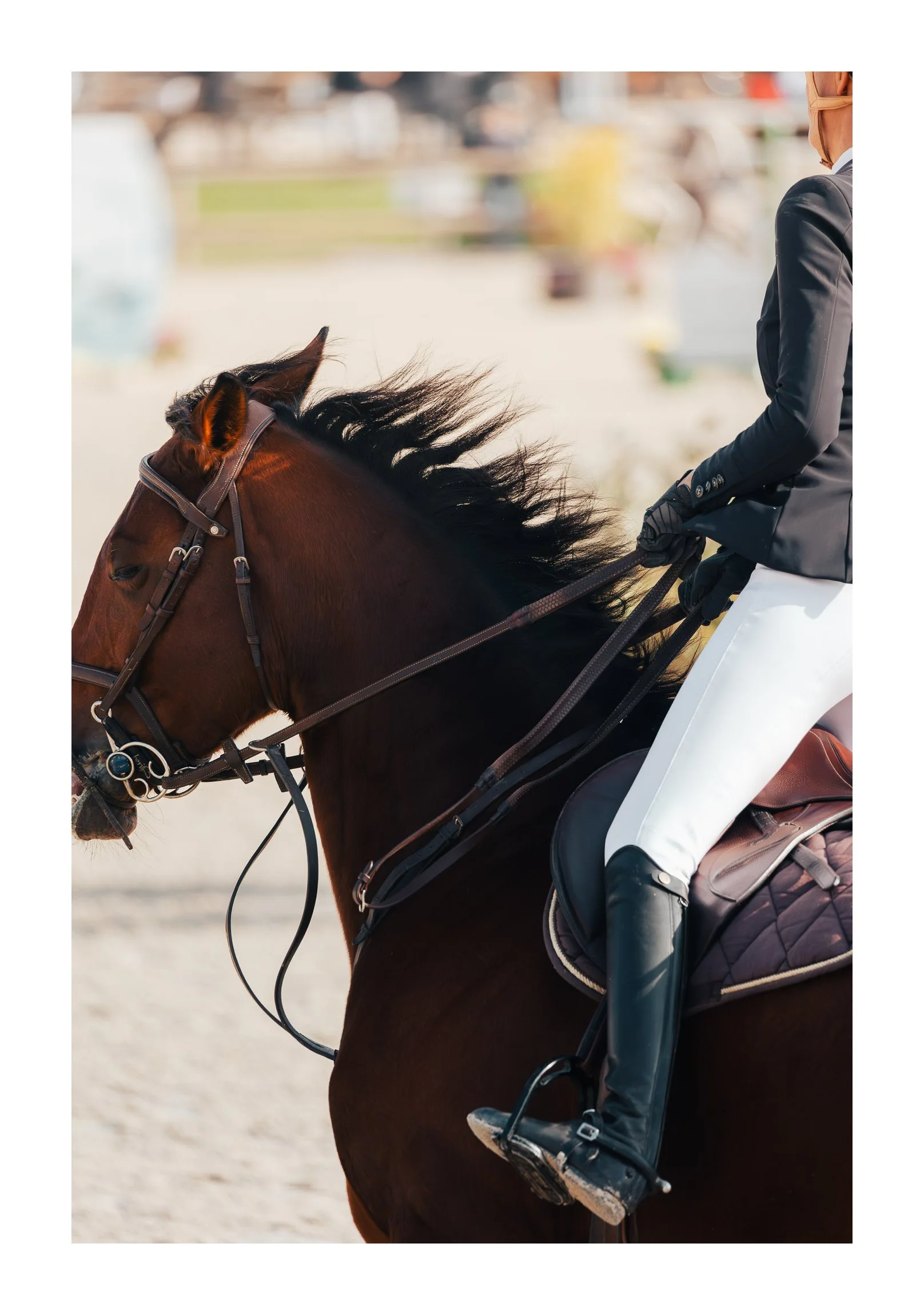 A rider dressed in formal equestrian attire riding a brown horse on a sandy outdoor arena.