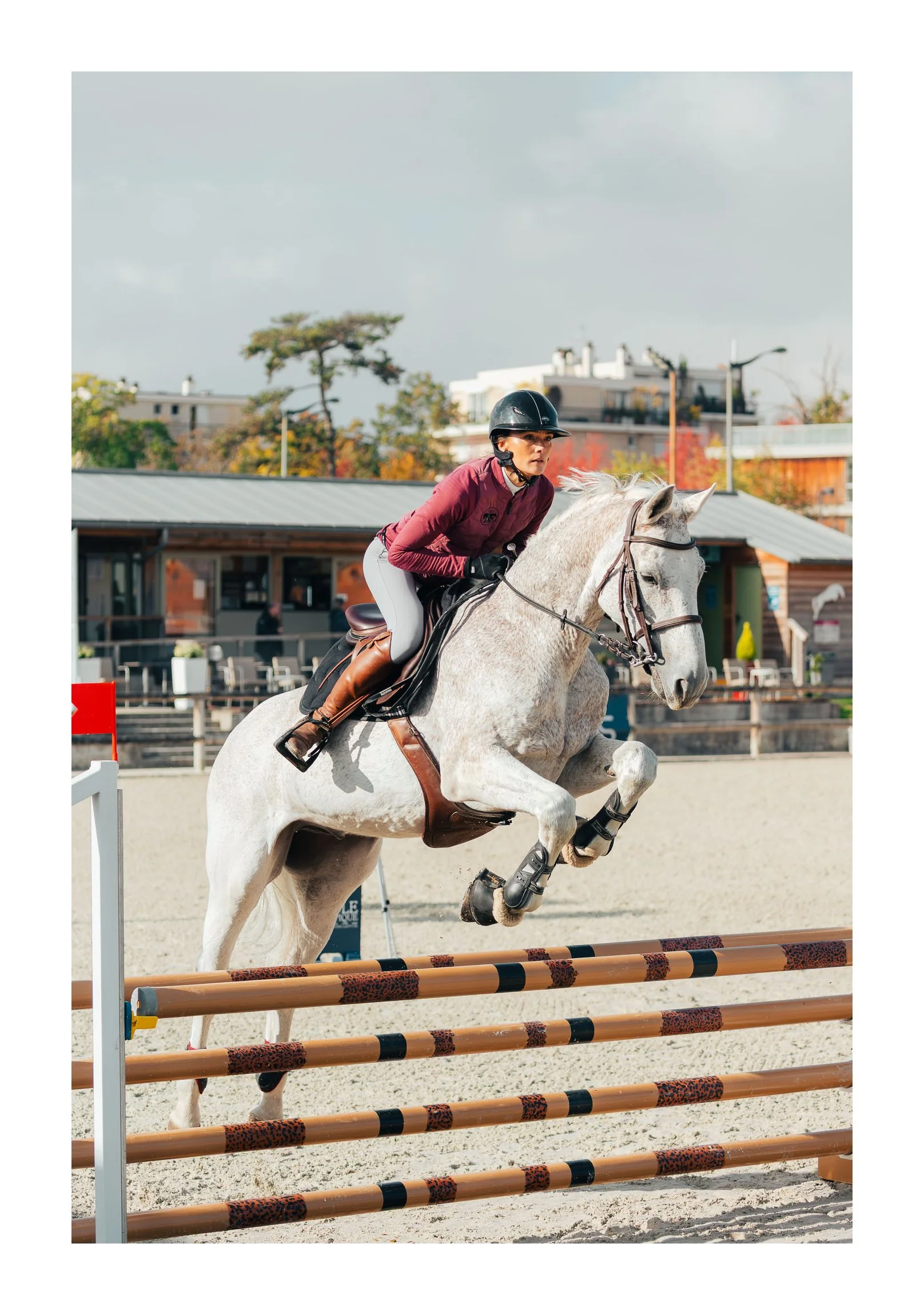 A female equestrian rider in a maroon jacket, white riding pants, brown boots, and a black helmet guides a white horse over a jump during a show jumping competition on a sunny day.