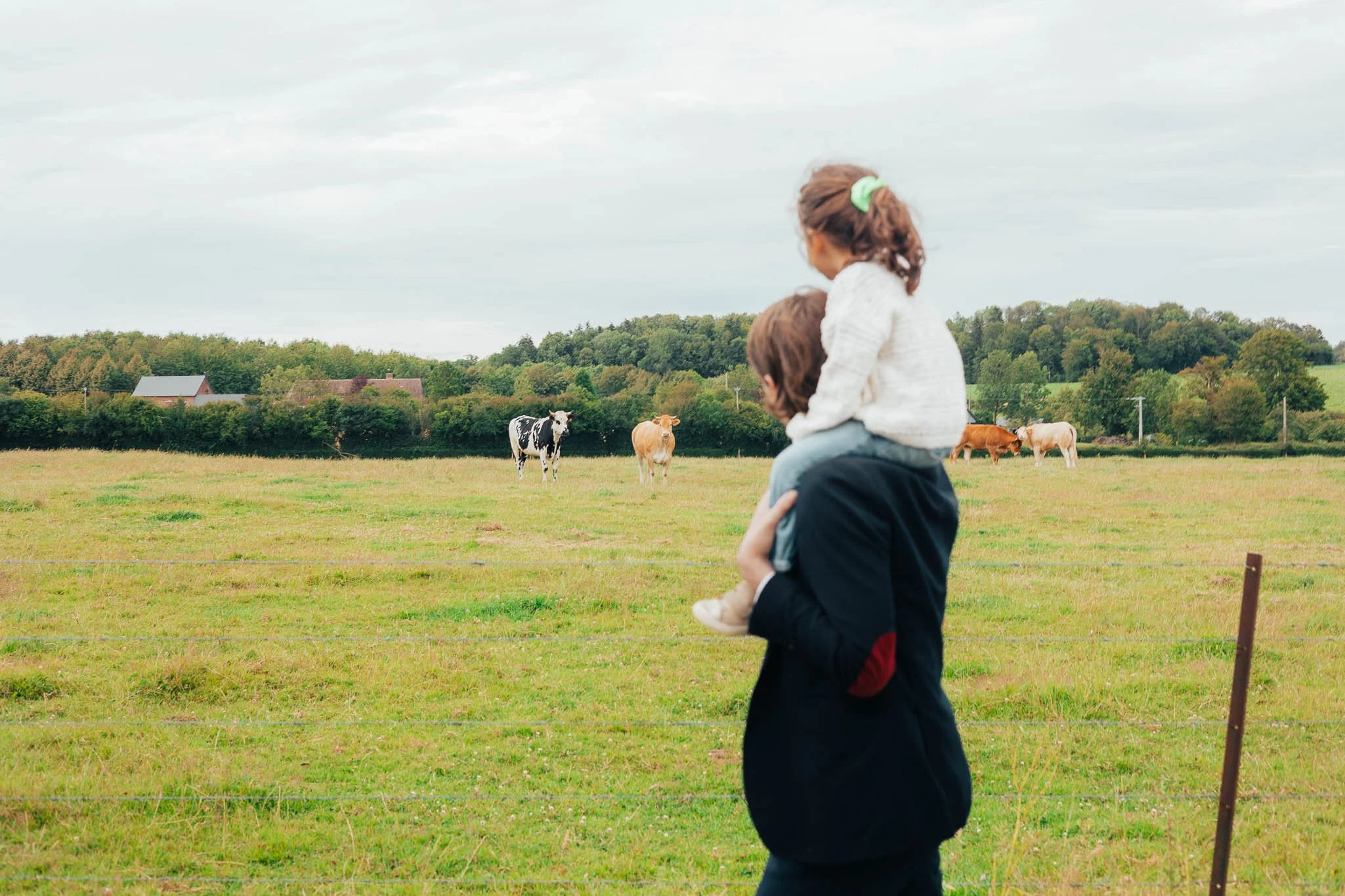 A person carrying a child on their shoulders while looking at cows grazing in a field with green grass, trees, and small buildings in the background under a cloudy sky.