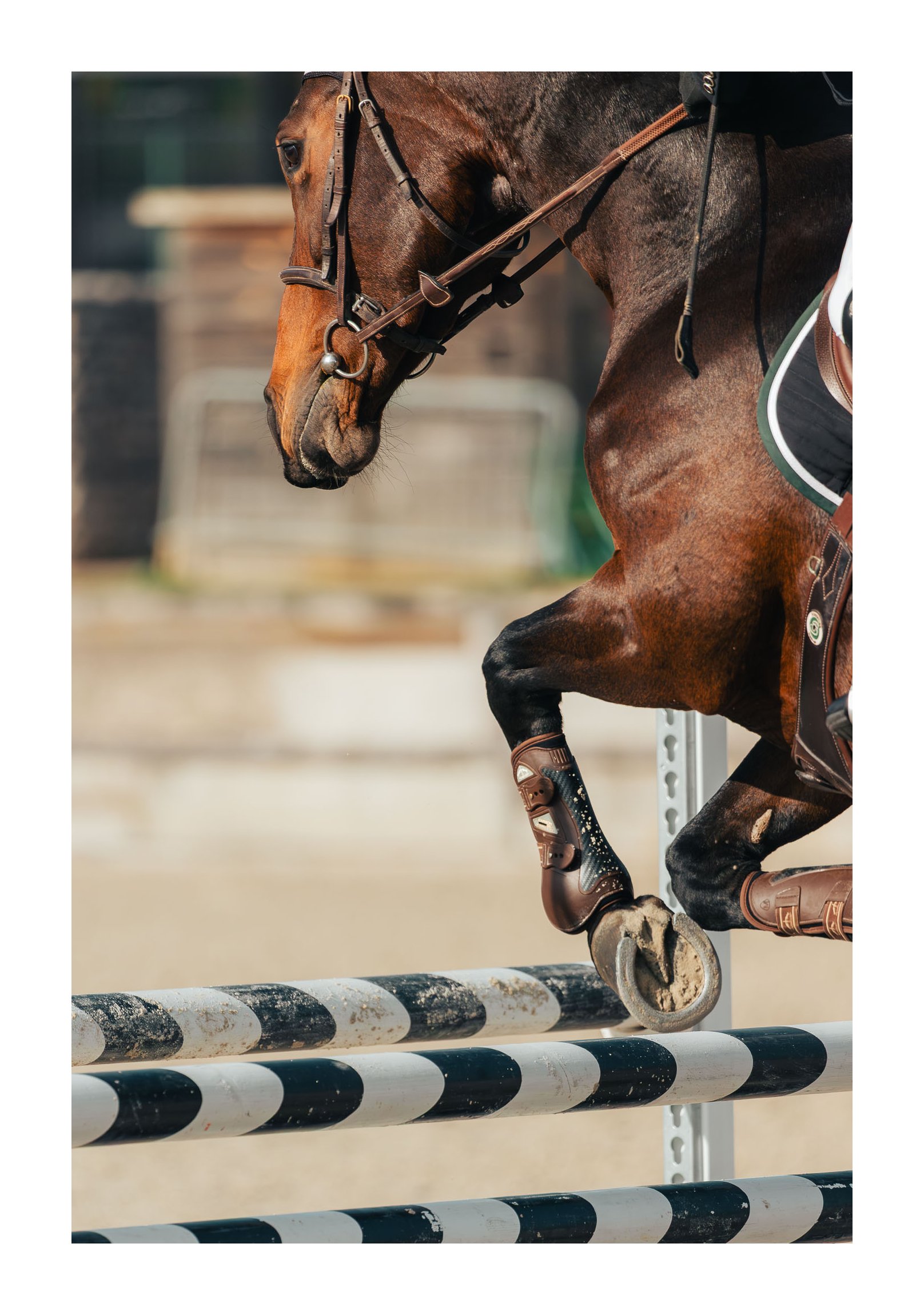 A brown horse jumping over a black and white striped obstacle during an equestrian event.