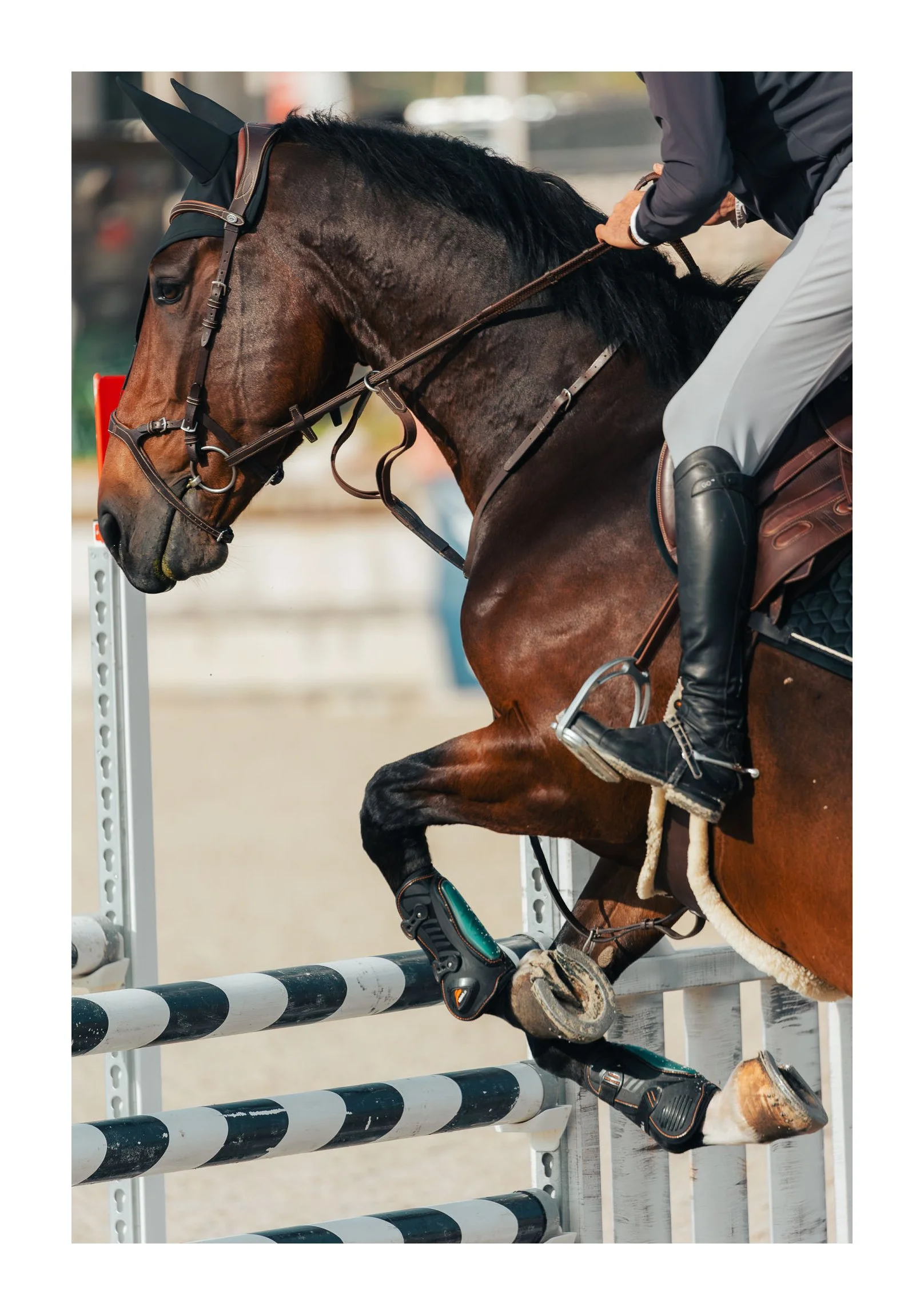A horse and rider jumping over an obstacle in an equestrian show jumping event.