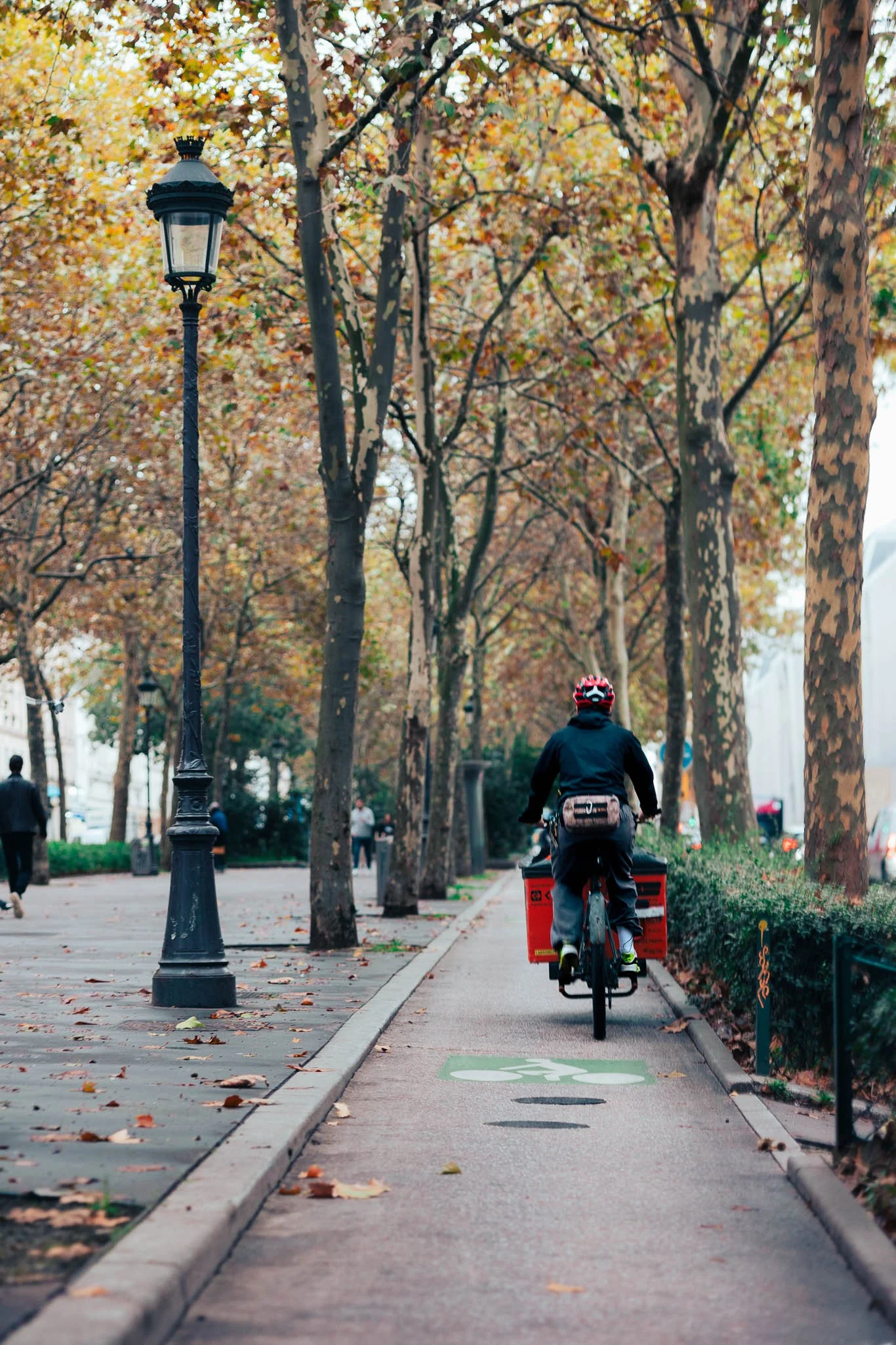 A person riding a bicycle on a designated bike lane in a park during autumn, with trees shedding leaves and street lamps lining the path.