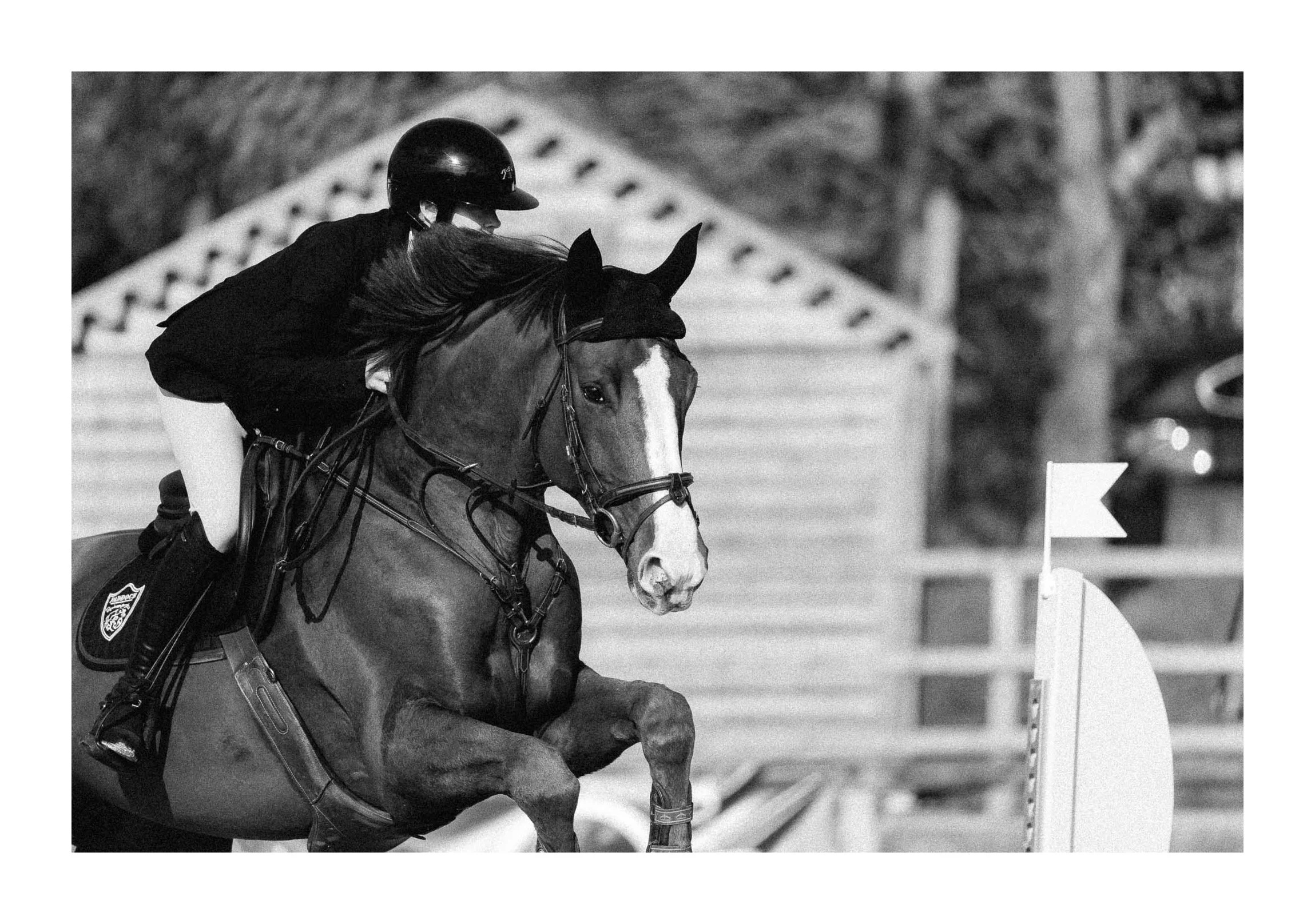 A person riding a horse during a jumping competition, with a flag on the obstacle in the background.