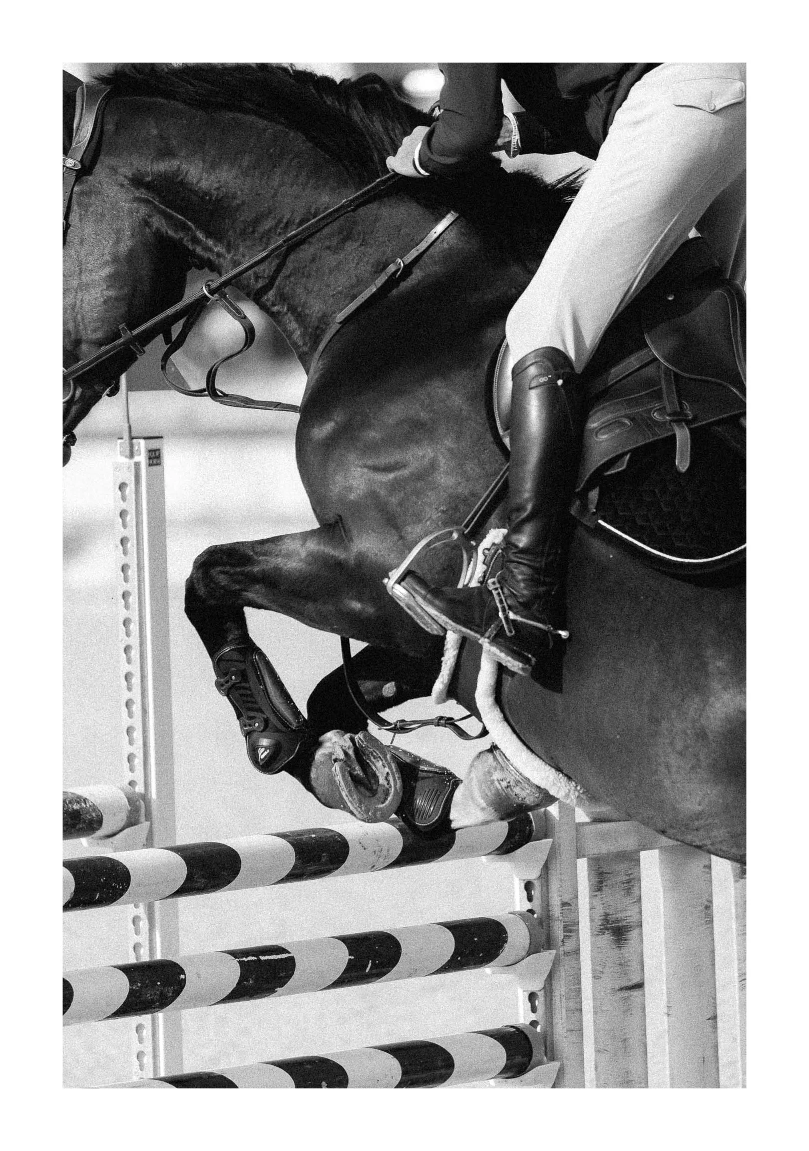 A person riding a horse, preparing to jump a bar in an equestrian event, in an indoor arena. The rider is dressed in riding attire, and the horse is equipped with saddle and bridle.