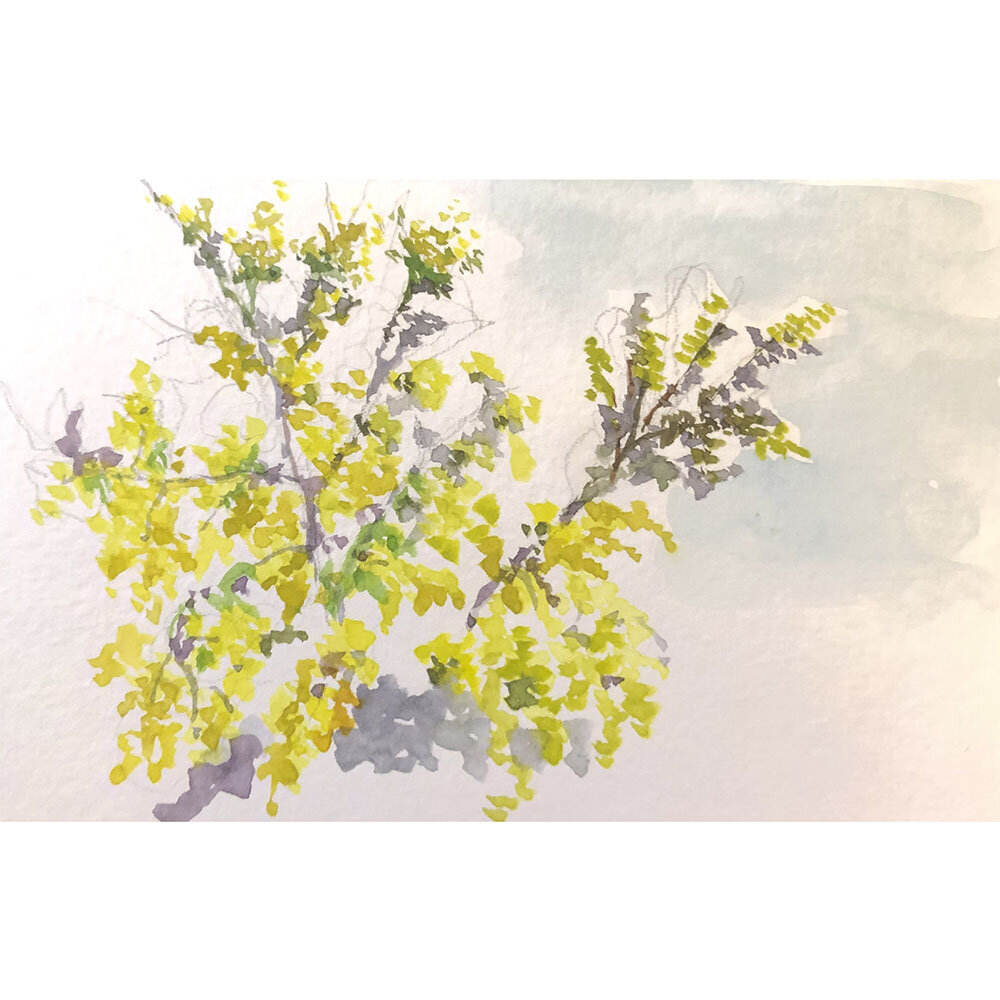 Torrox_01 (2020)
