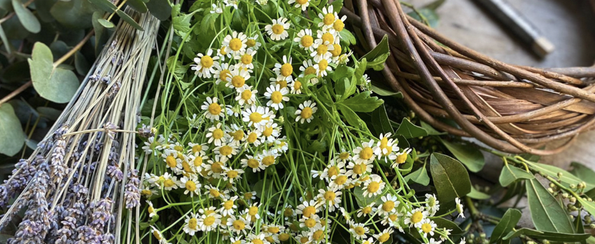 GHIRLANDA AL PROFUMO DI PRIMAVERA 