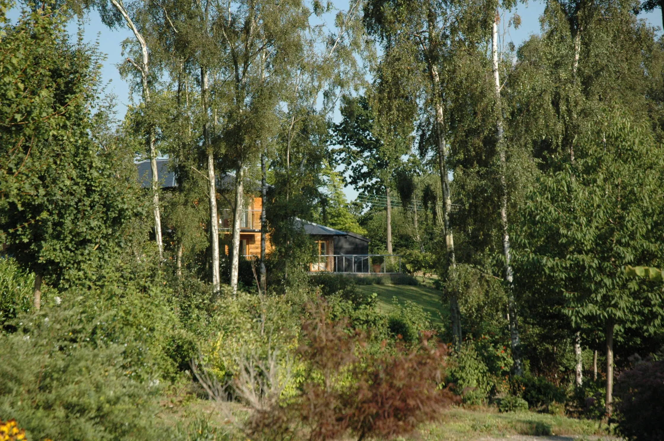 Frogs Hole Completed