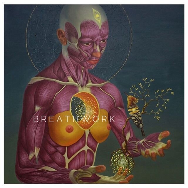 VIRTUAL GROUP BREATHWORK 
For Inner Wisdom
12th &amp; 19th February_

Let the Doubt be
and in stillness 
hear the Voice of the Heart

creating a gateway, 
a connection to your true Self

becoming the witness,
an active part 
of every situation you ar