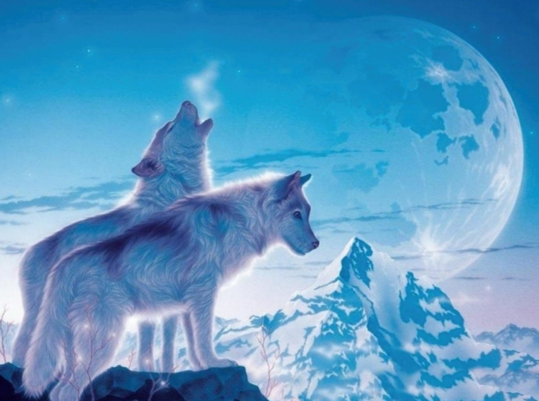 November Spirit Animal | The Wolf | What Does The Wolf Symbolise | PERLOTA  Fine Jewellery