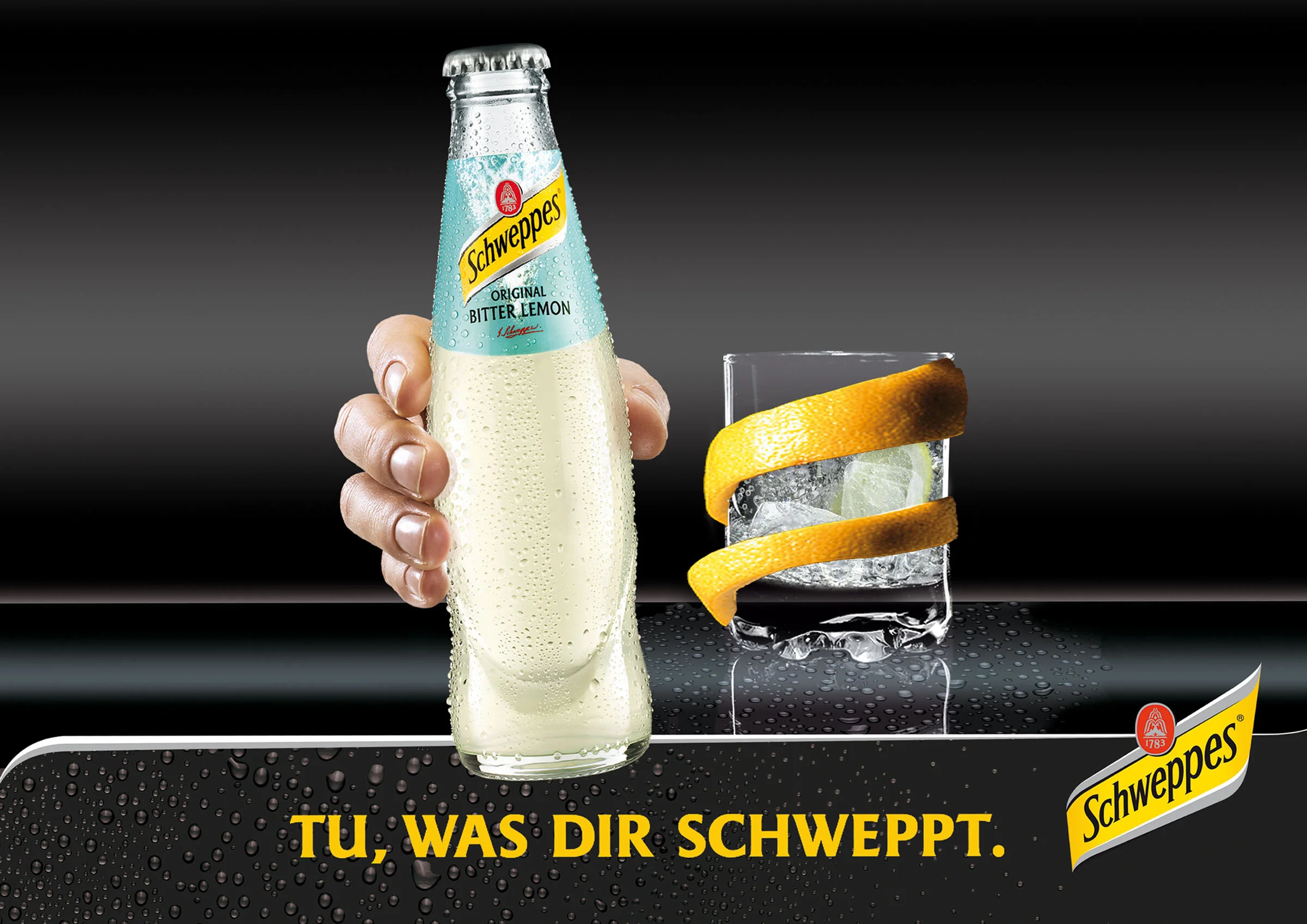 Schweppes_Grossflaeche_1.jpg