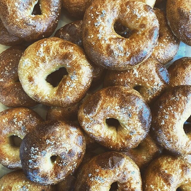 It&rsquo;s already Thursday again, which means we have our sourdough bagels! We&rsquo;re also restocked on our house cured lox, try with your bagel or on our vollkornbrot! 
#sourdough #naturallyleavened #bagel #lox #bakery #butchershop #baker #butche
