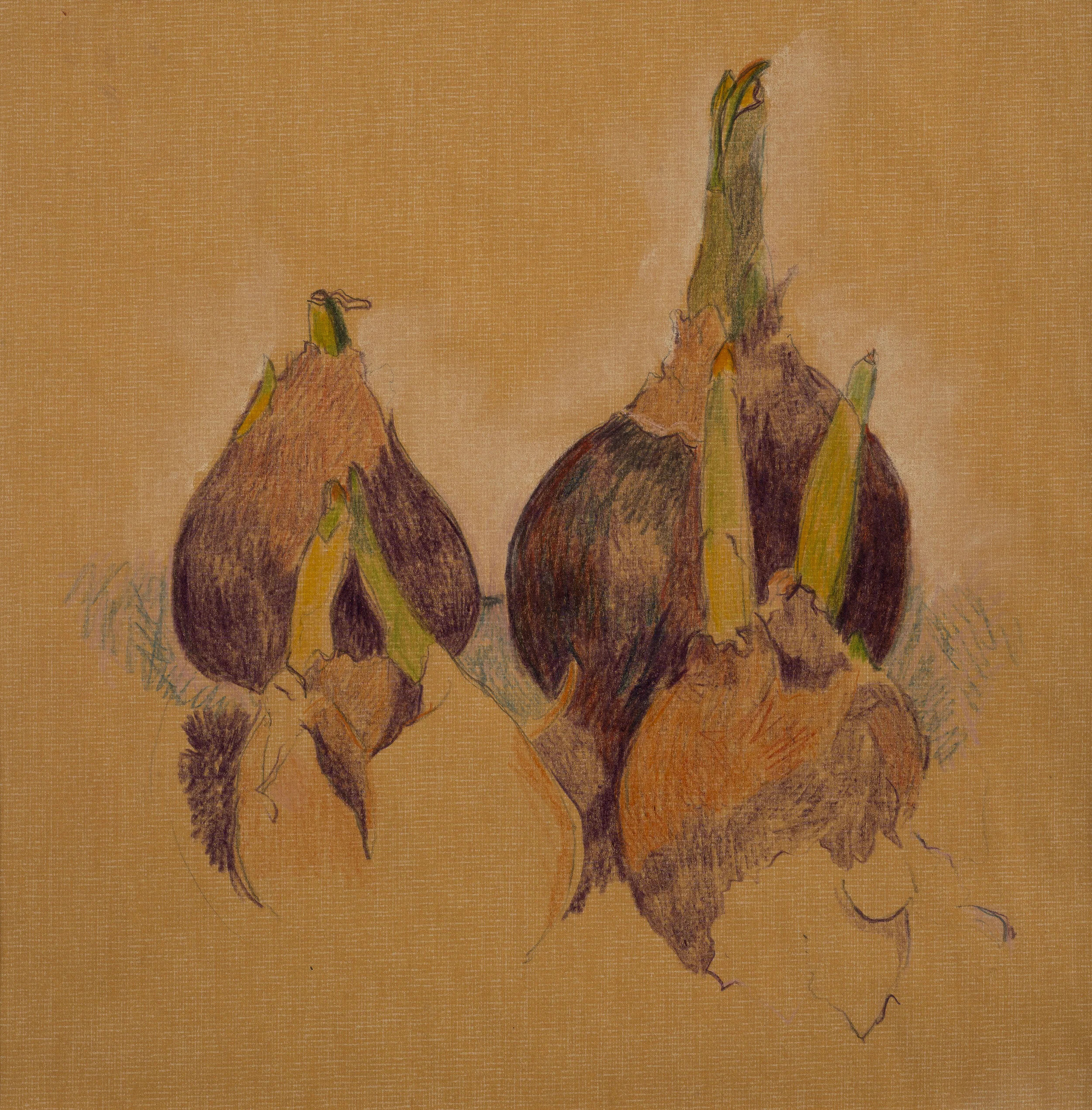 Randi-Stein_08 copy.jpg