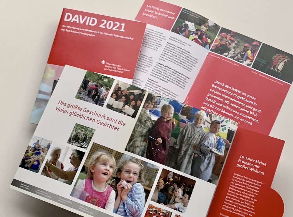 DSGV-DAVID-klein-2.jpg