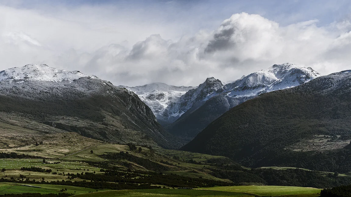 patpano1_16x9 copy.jpg