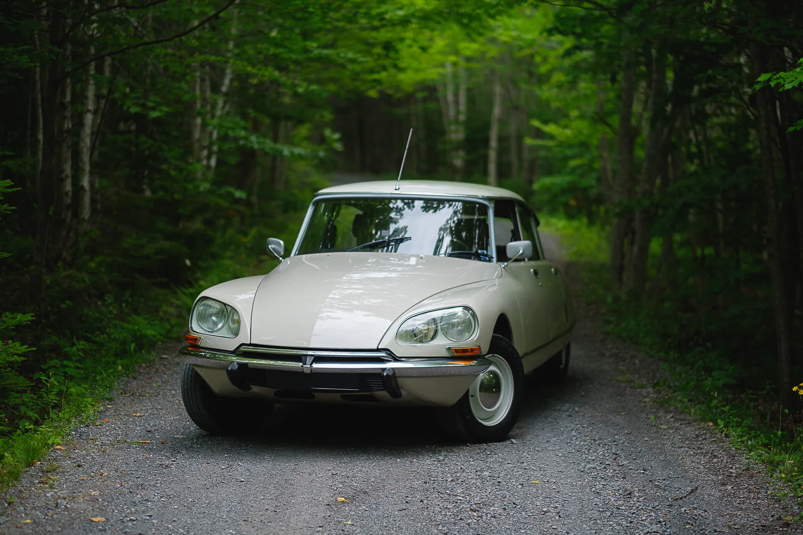 Citroen DS exterior