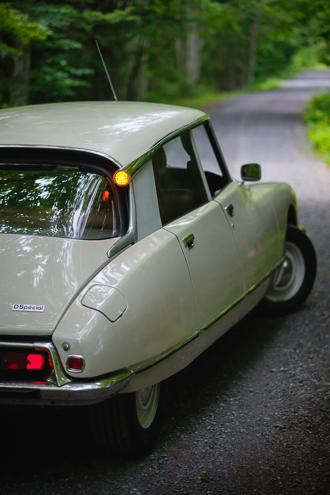 Citroen DS Exterior