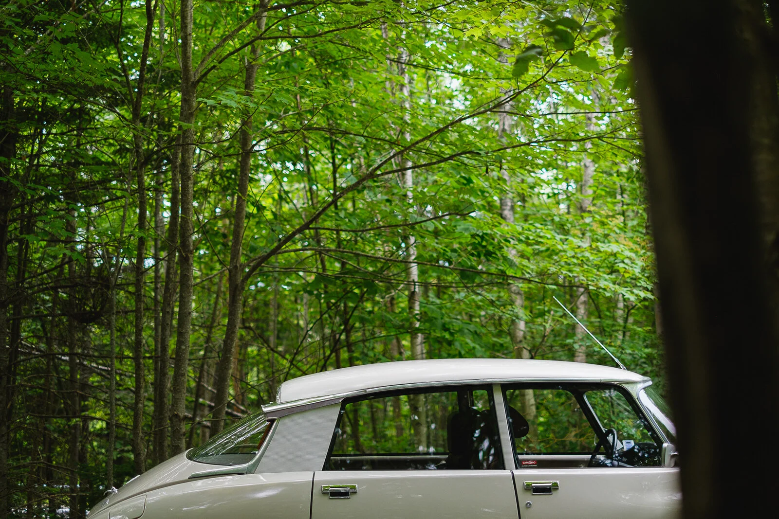 Citroen DS Exterior