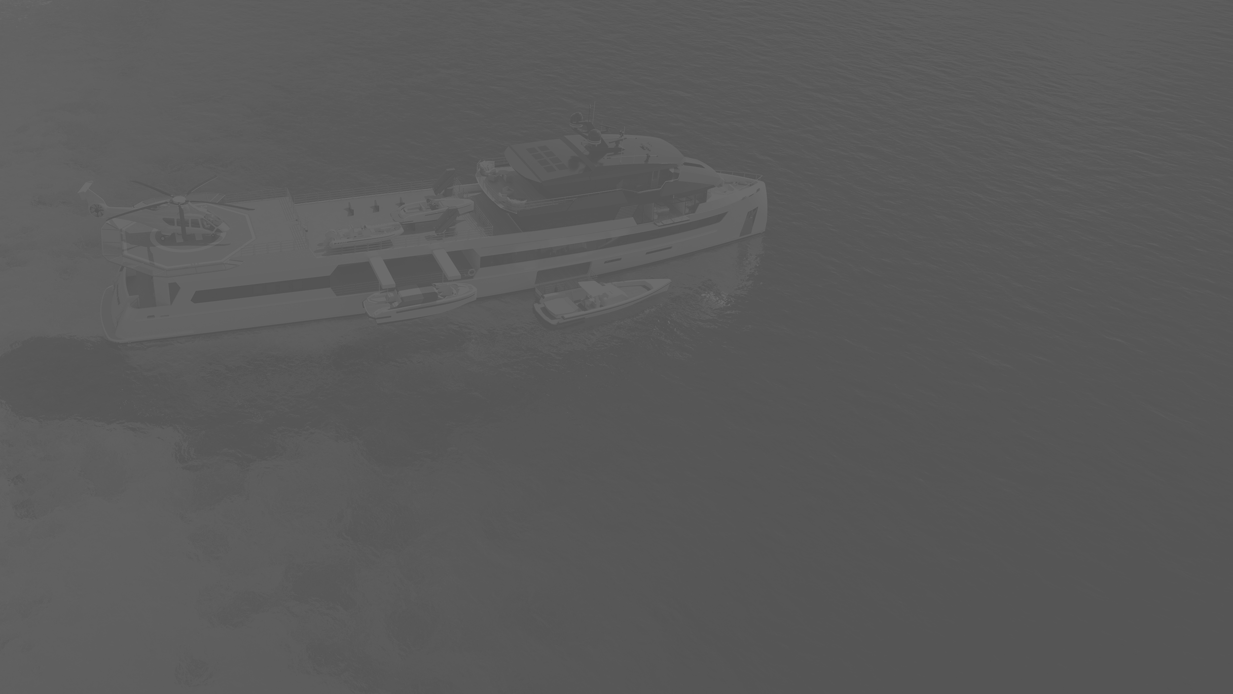 Shadowolf - grey.png