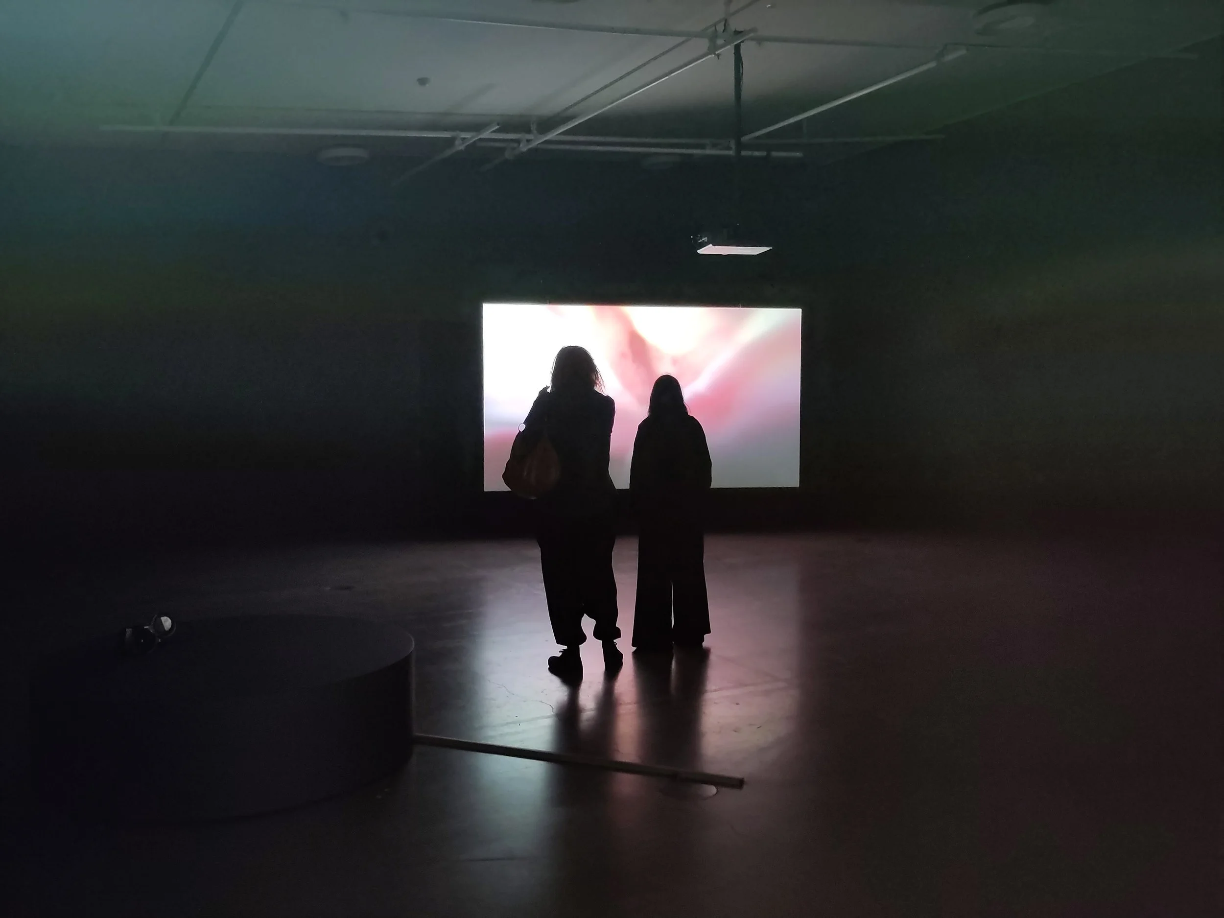 Cosmic Realism Eye Museum