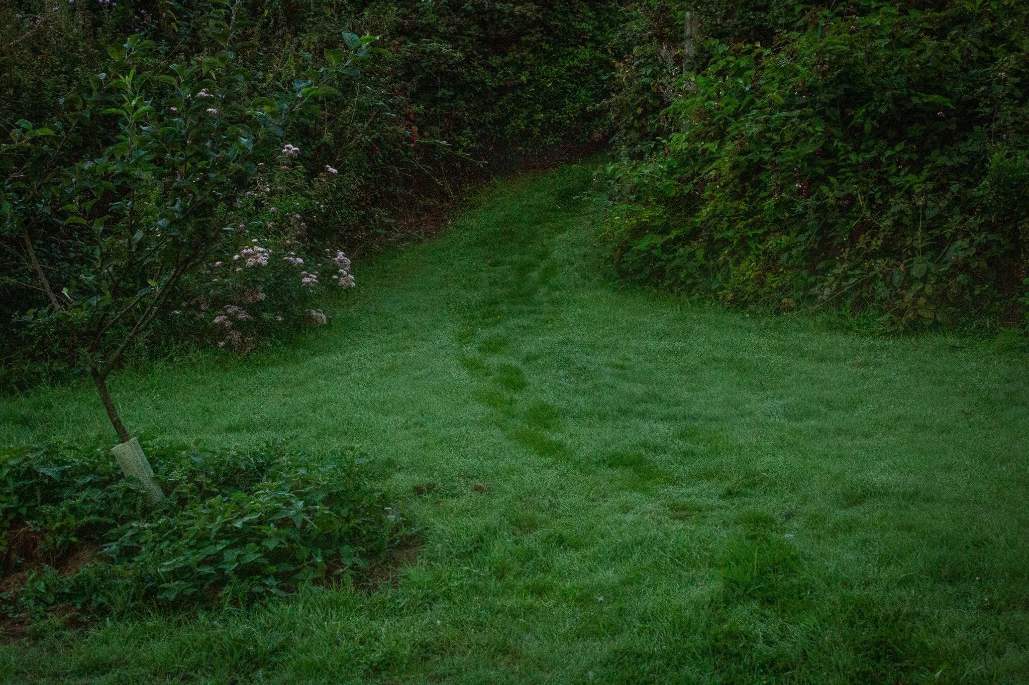 “Every walk is a sort of crusade,”