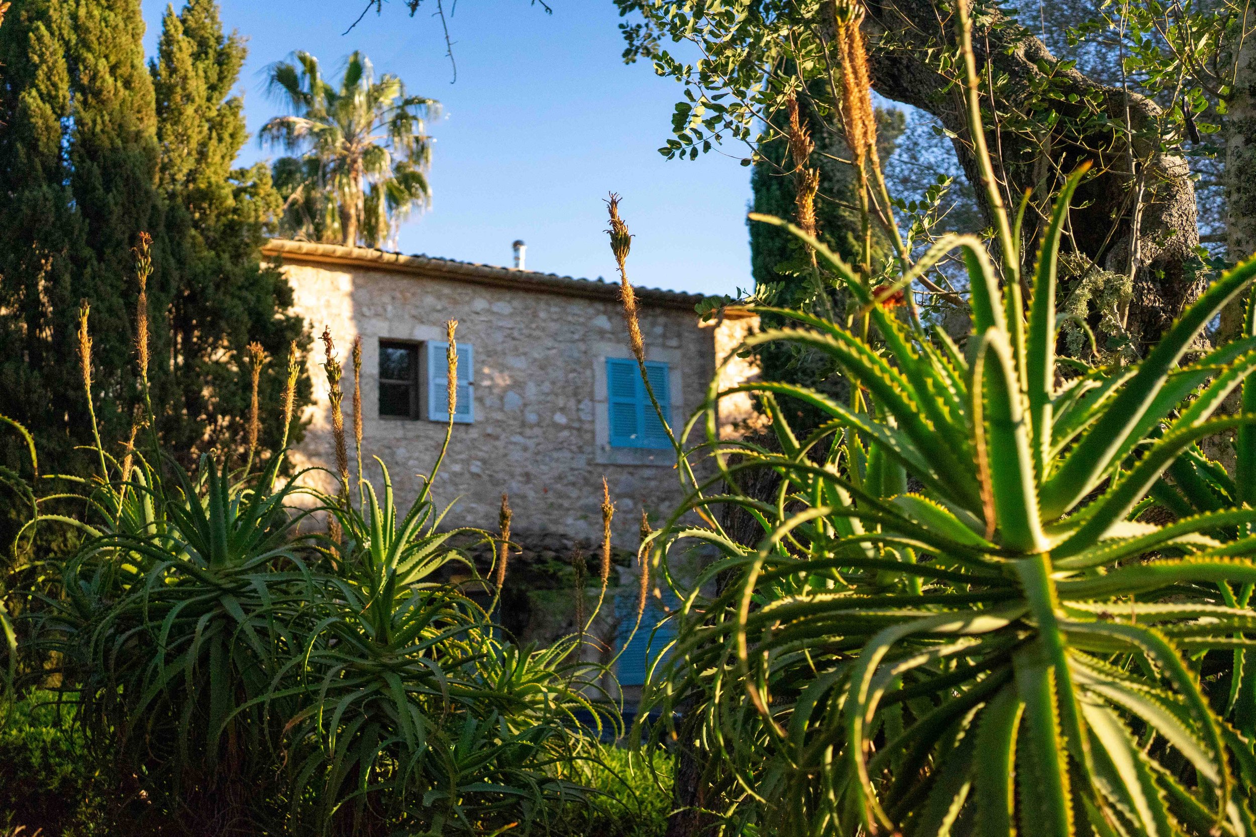 Finca Mallorca Sunnyside.jpg