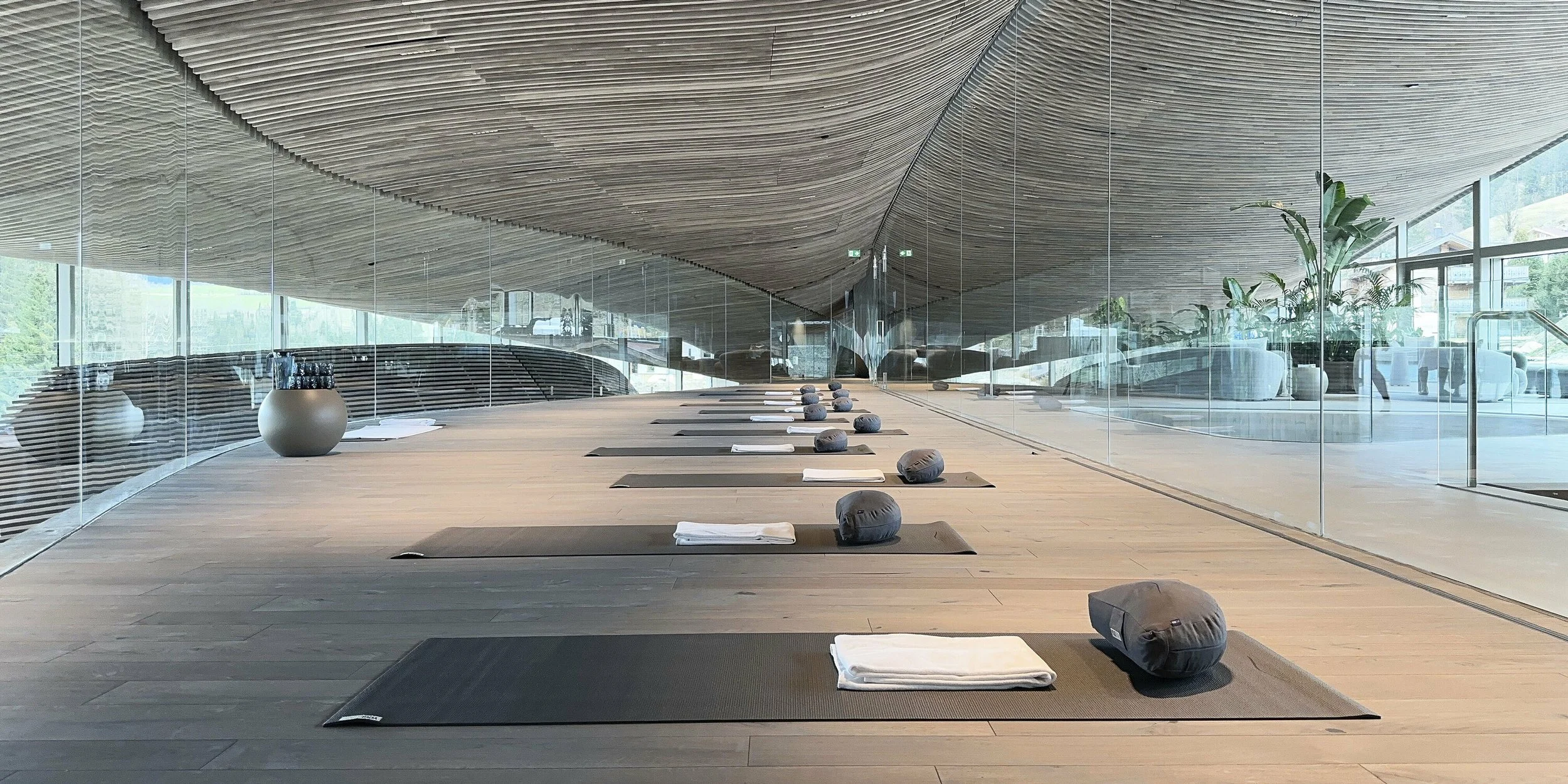 yoga fasten sunnyside carina teutenberg.jpeg