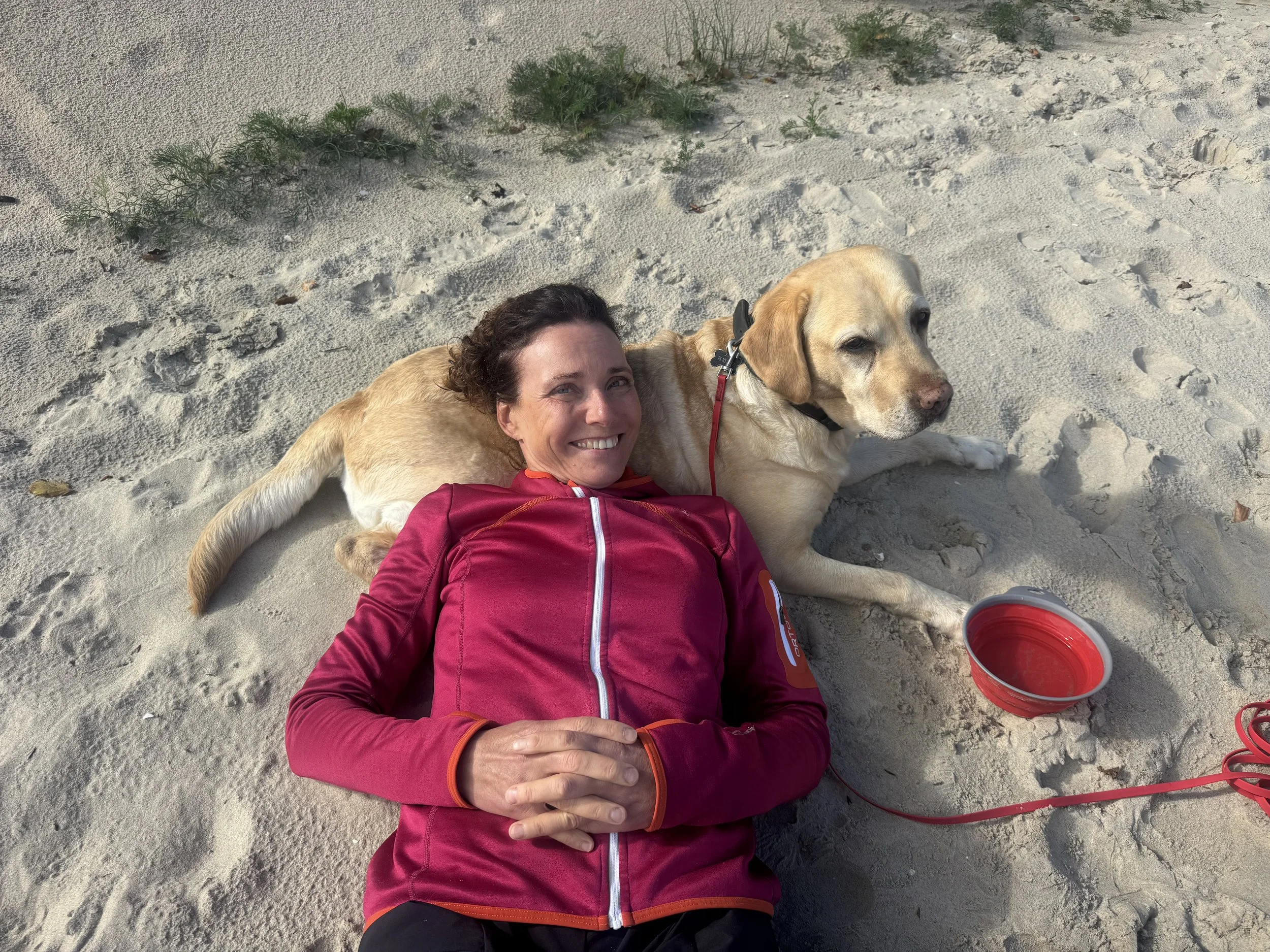 Fasten_hund_ostsee.jpeg