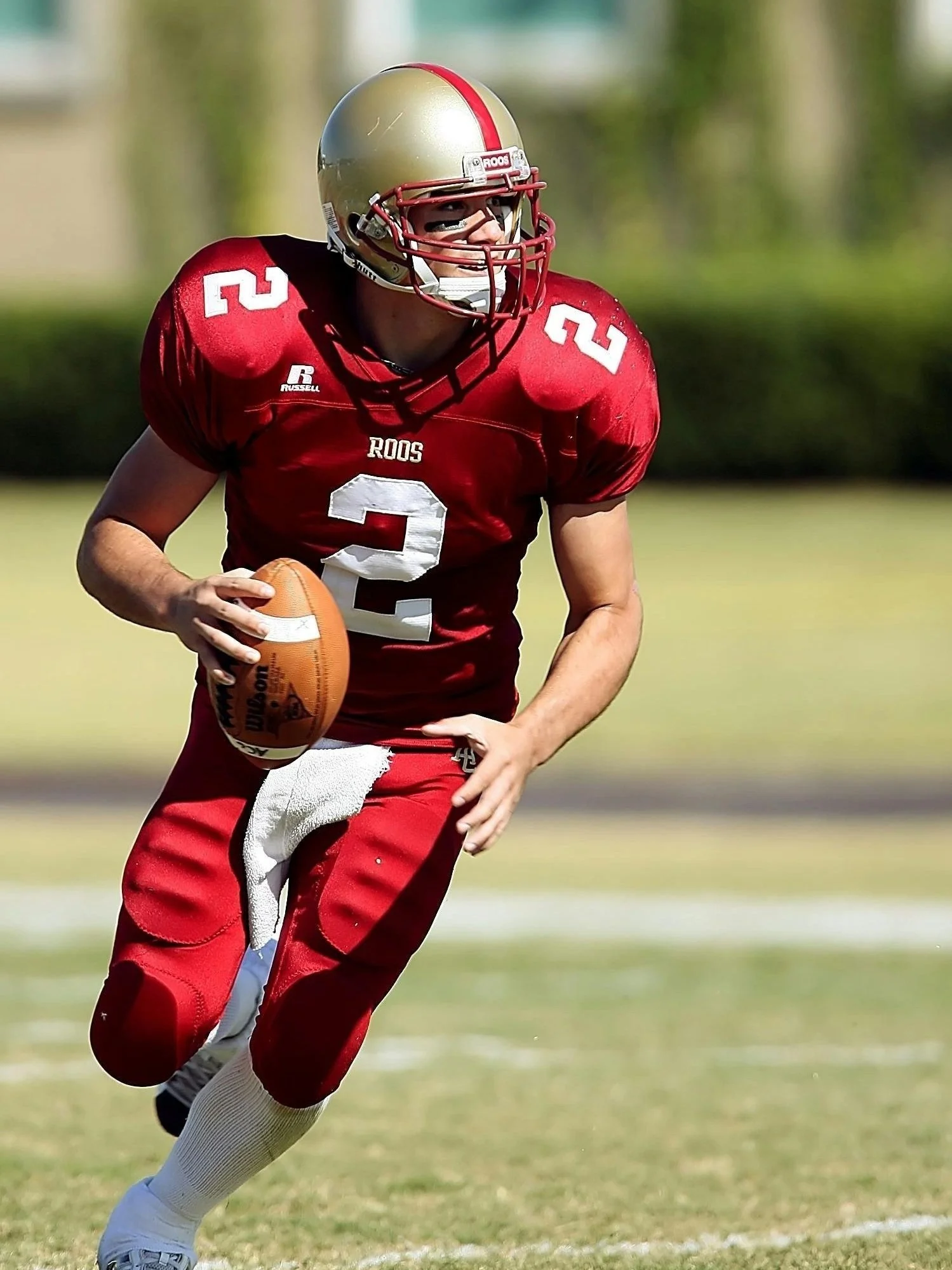 American football quarterback holding the ball and preparing to throw.