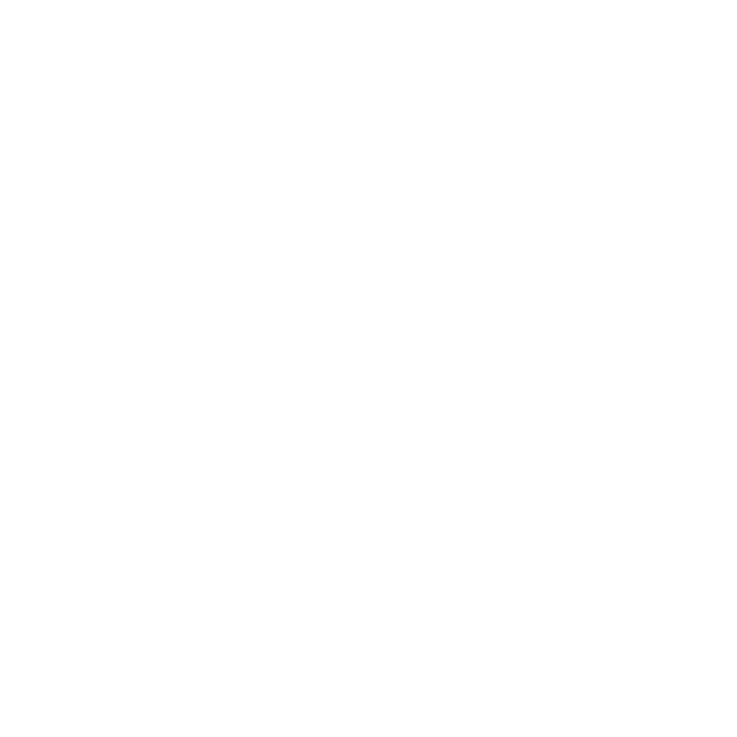 Newburgh Acupuncture Project   