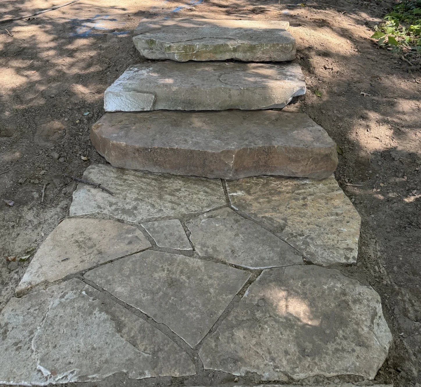 HBrandomsteps.jpeg