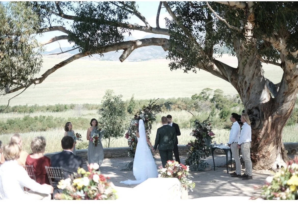 A wedding ceremony taking place outdoors under a large tree, with the bride and groom standing before an officiant, surrounded by bridesmaids and groomsmen, in a picturesque natural setting.
