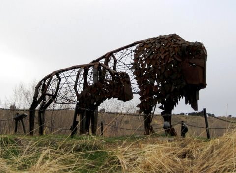bison and bench (10).jpg