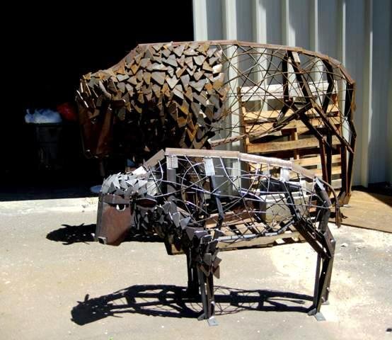 bison and bench (15).jpg