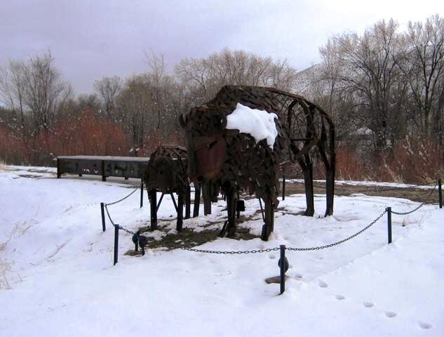 bison and bench (17).jpg