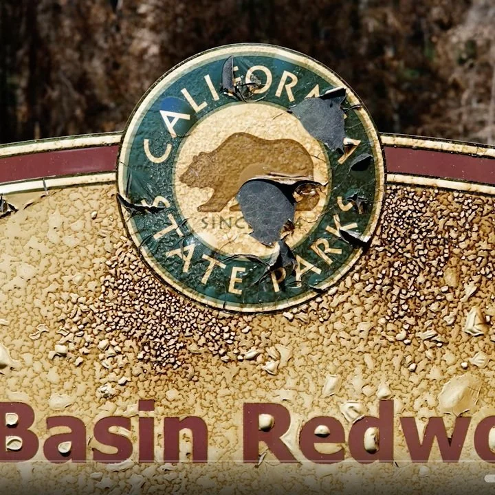 Big Basin Redwoods State Park Reopens July 22 with Reservation-Only Day-Use Access