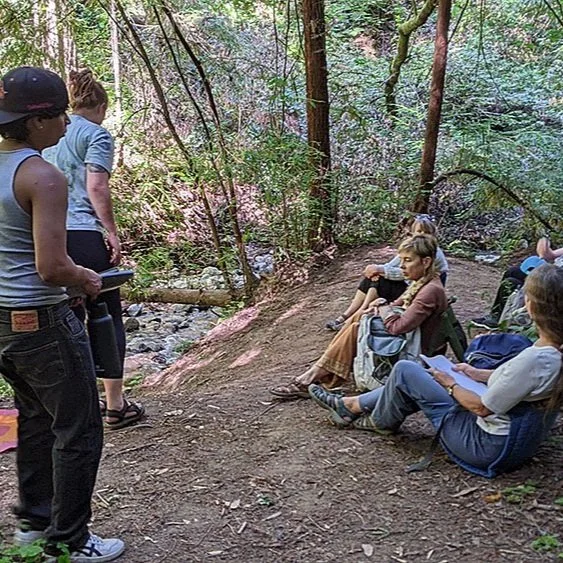 Introducing Redwood Rx