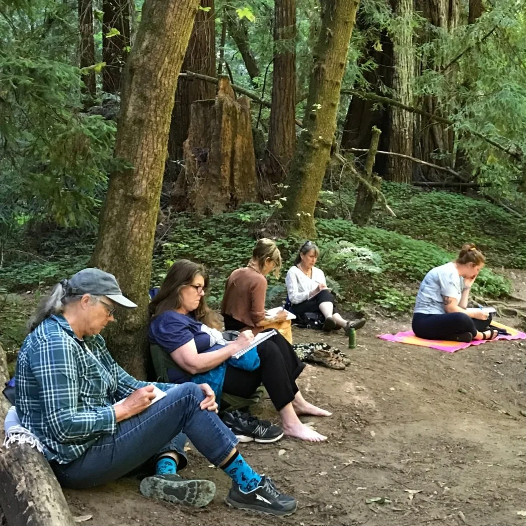Redwood Rx program brings health and wellness activities to the redwoods